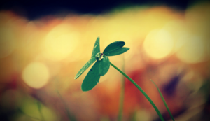 拜仁慕尼黑明晚挑战那不勒斯