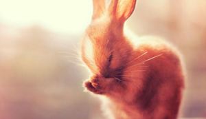 瑞典队火力全开，欧国联比赛引爆球迷热情