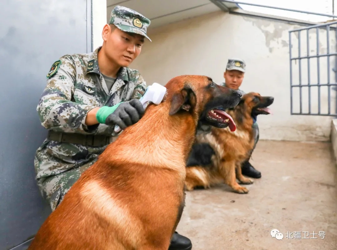 墨西哥女足顽强作战，夺取胜利！